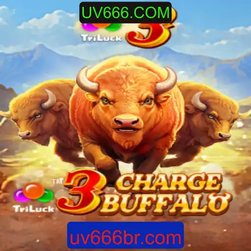 Descubra o Mundo Empolgante de 3ChargeBuffalo